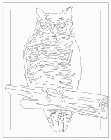 A coloring page of harry potter
